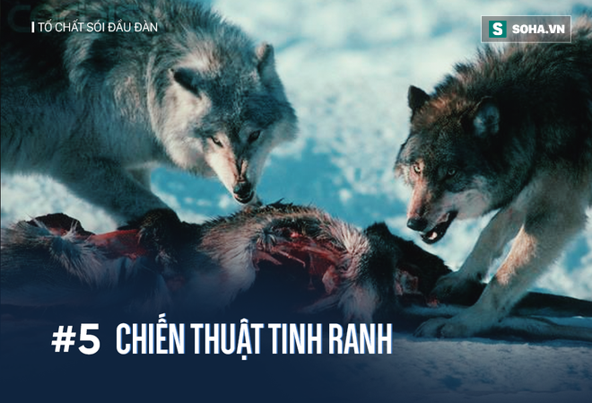 Phần mềm kế toán MISA SME – 27 năm số 1 Việt Nam