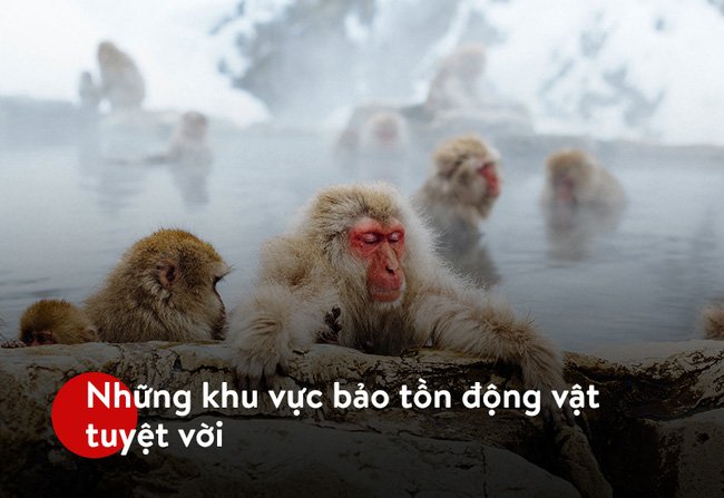 Phần mềm kế toán MISA SME – 27 năm số 1 Việt Nam