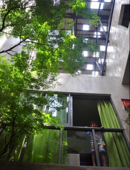 Nhờ giếng trời và cây xanh mà mọi không gian bên trong ngôi nhà nơi đâu cũng thoáng mát và tràn ngập ánh sáng mặt trời.
