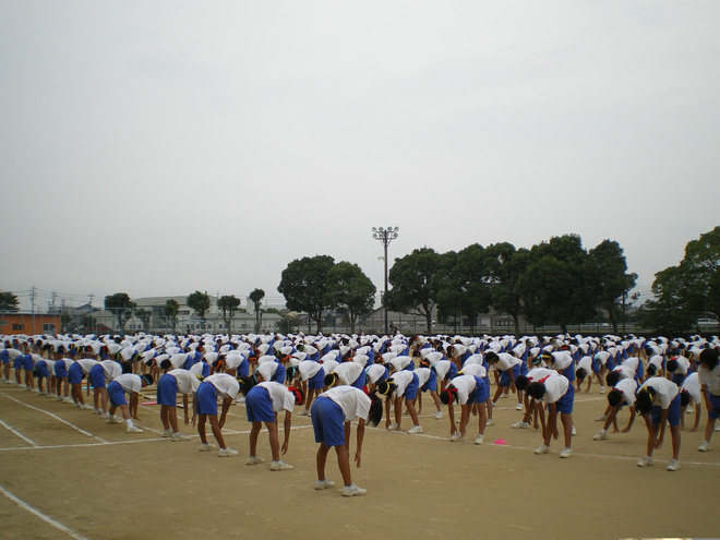 Phần mềm kế toán MISA SME – 27 năm số 1 Việt Nam