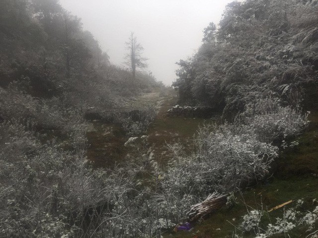 Sa Pa bất ngờ xuất hiện tuyết rơi dày đặc trong sáng nay - Ảnh 2.