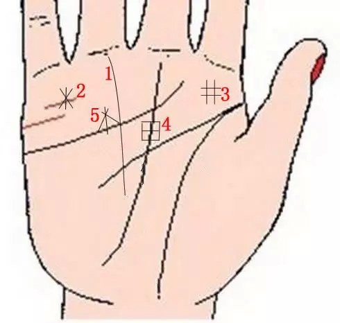 Lòng bàn tay có 8 vị trí phú quý, chỉ cần sở hữu ít nhất 1 cái thì cả đời ăn sung mặc sướng - Ảnh 5.