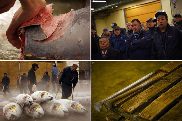  Kỷ nguyên mới cho chợ cá lâu đời nhất Nhật Bản, nơi xử lý 1.600 tấn hải sản mỗi ngày  - Ảnh 5.