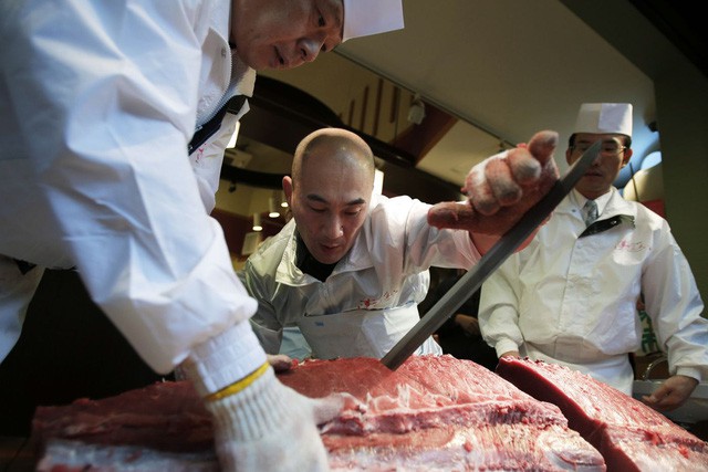 Kỷ nguyên mới cho chợ cá lâu đời nhất Nhật Bản, nơi xử lý 1.600 tấn hải sản mỗi ngày  - Ảnh 5.