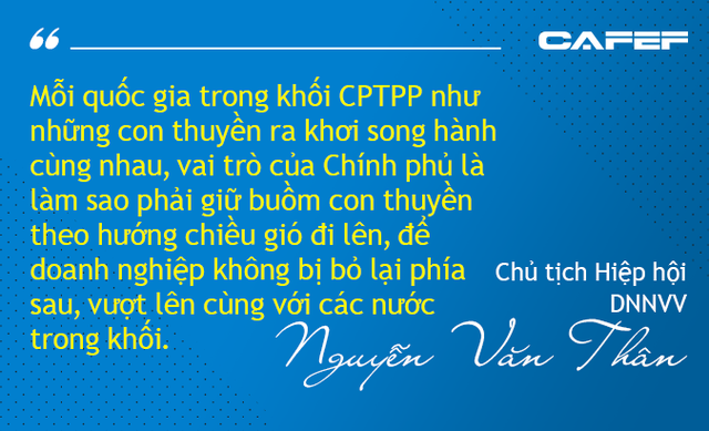 Mừng - lo Hiệp định CPTPP dưới góc nhìn từ Nhà nước, Chính phủ đến doanh nghiệp - Ảnh 7.