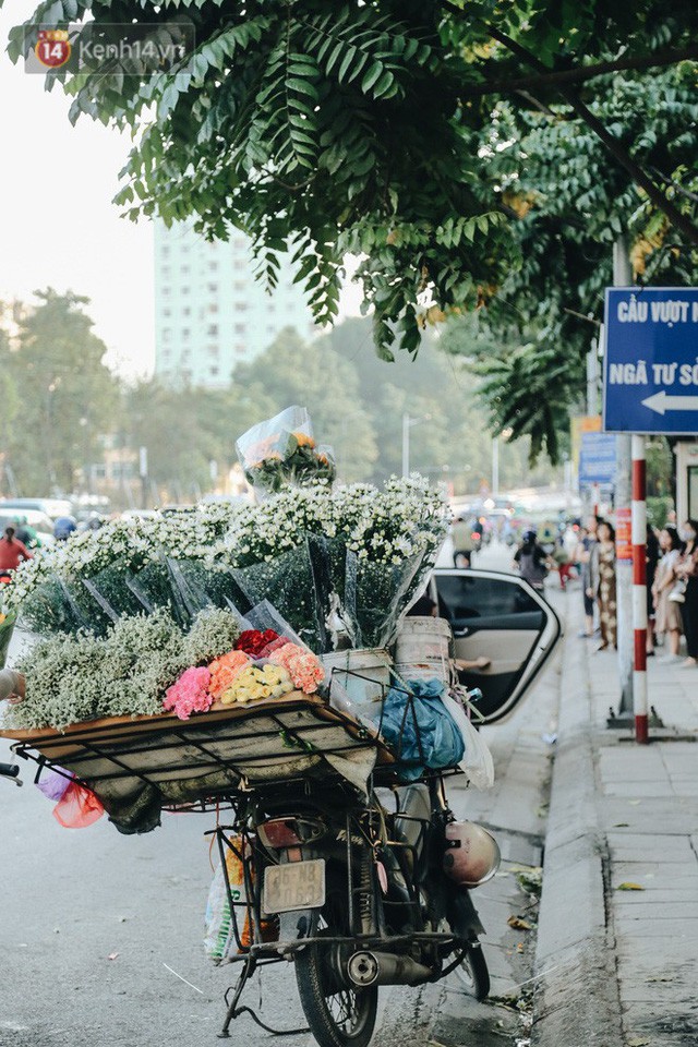  Cúc hoạ mi vào vụ mùa, nông dân Hà Nội hớn hở chào mừng khách đến mua hoa và chụp ảnh  - Ảnh 18.