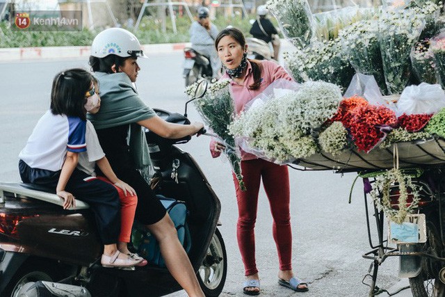 Cúc hoạ mi vào vụ mùa, nông dân Hà Nội hớn hở chào mừng khách đến mua hoa và chụp ảnh  - Ảnh 19.