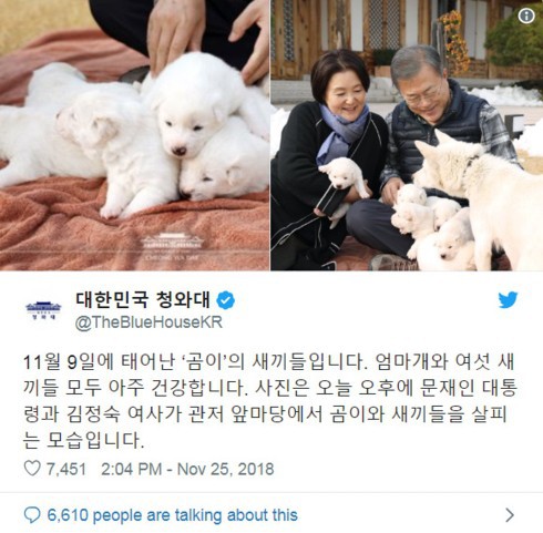 Tổng thống Hàn Quốc khoe đàn chó được Nhà lãnh đạo Triều Tiên tặng - Ảnh 1.