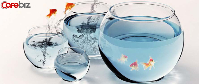 Kính gửi các bố mẹ: Nếu không sớm bỏ 8 thói quen này thì đừng thắc mắc tại sao con nhà mình không bằng con nhà người ta”! - Ảnh 1. Kính gửi các bố mẹ: Nếu không sớm bỏ 8 thói quen này thì đừng thắc mắc tại sao con nhà mình không bằng con nhà người ta”! - Ảnh 1.