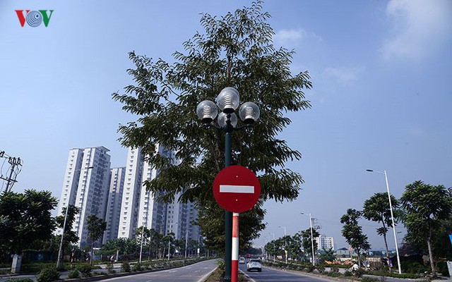  Cận cảnh phố 8 làn xe ở Hà Nội được đề xuất đặt tên Trịnh Văn Bô  - Ảnh 10.