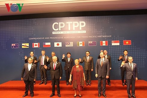  Hiệp định CPTPP tạo áp lực cải cách thể chế rất lớn  - Ảnh 1.