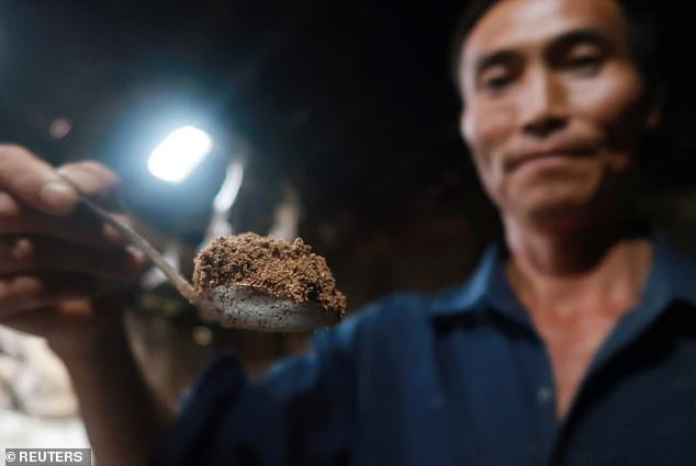 Hàng tỷ con gián đã giúp Trung Quốc xử lý 50 tấn thức ăn thừa mỗi ngày như thế nào? - Ảnh 4.