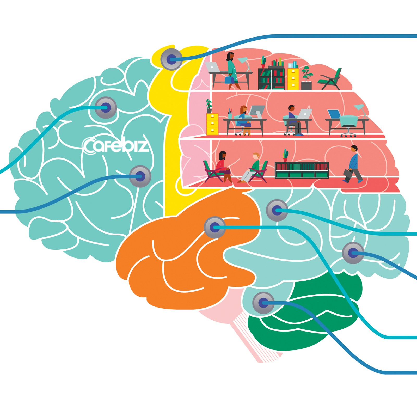 Brain puzzle game. Паззлы для мозга. Мозг учеба. Логотипы с изображением мозга. Пазл головной мозг.