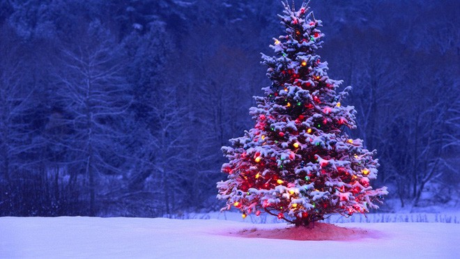  Noel là gì? Nguồn gốc và ý nghĩa của ngày Noel - VnReview - Tin nóng - Ảnh 6.