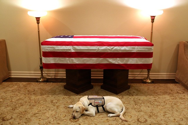  Cập nhật tang lễ cố Tổng thống Bush (cha): Air Force One đưa thi hài về thủ đô Washington  - Ảnh 2.