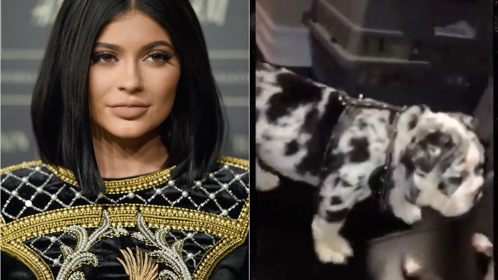 kylie jenner - 21 tuổi đã kiếm hàng ngàn tỷ đồng một năm, Kylie Jenner có cuộc sống sang chảnh và tài sản đáng ghen tị đến mức nào? - photo kylie jenner - photo 16 15440651629731875478750 - 21 tuổi đã kiếm hàng ngàn tỷ đồng một năm, Kylie Jenner có cuộc sống sang chảnh và tài sản đáng ghen tị đến mức nào?