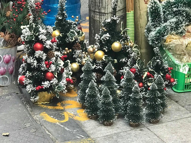 Không khí mua sắm Noel bắt đầu nhộn nhịp - Ảnh 3. Không khí mua sắm Noel bắt đầu nhộn nhịp - Ảnh 3.