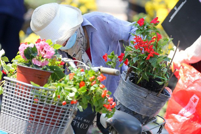 Bế mạc hội hoa xuân Tao Đàn, người dân mót lại hoa sắp cho vào xe rác - Ảnh 12.