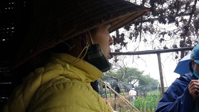  Hà Nội: Làng hoa Tây Tựu nở trái mùa, nông dân khóc ròng vì cắm nhà trả nợ  - Ảnh 15.