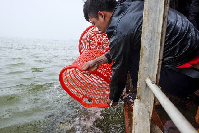  Hàng vạn người chuyền tay nhau phóng sinh gần 5 tấn cá xuống sông Hồng  - Ảnh 10.