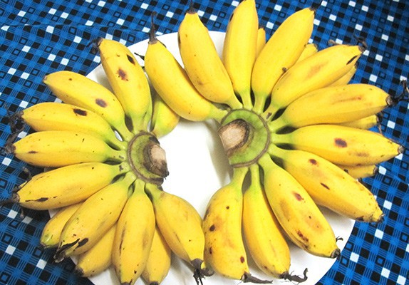 Bananacoin - Đồng tiền chuối, có trị giá bằng 1 cân chuối - Ảnh 4.
