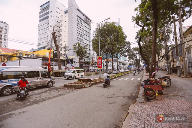  Chùm ảnh: Đường Tôn Đức Thắng trước và sau khi hàng trăm cây xanh bị đốn hạ để phát triển thành phố  - Ảnh 15.