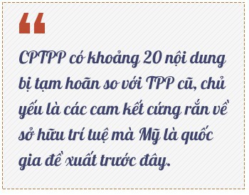 4 điểm khác biệt lớn giữa CPTPP và TPP - Ảnh 7.