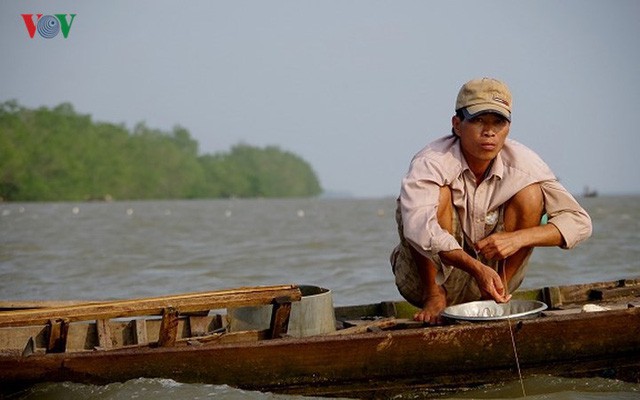  Kiếm hàng chục triệu nhờ săn cá bông lau sông Hậu - Ảnh 4.