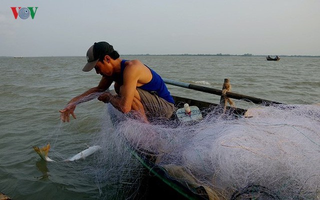  Kiếm hàng chục triệu nhờ săn cá bông lau sông Hậu - Ảnh 8.