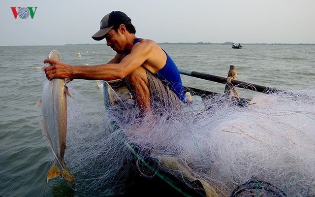  Kiếm hàng chục triệu nhờ săn cá bông lau sông Hậu - Ảnh 9.