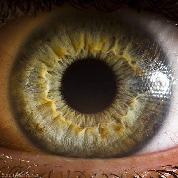 Tiết lộ 5 sự thật về tính cách và sức khỏe qua màu mắt mà khoa học nói “chắc như đinh đóng cột” - Ảnh 4.