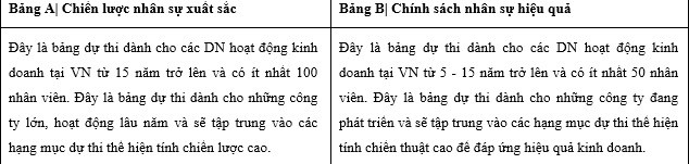 Phát động giải thưởng Vietnam HR Adwards 2018, nhiều DN tâm sự nộp hồ sơ thi thách thức như nộp đơn vào Harvard - Ảnh 1.