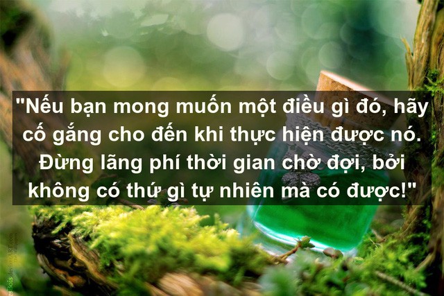 20 câu nói sẽ thay đổi hoàn toàn cách nhìn của bạn, đừng đợi đến tuổi xế chiều mới nhận ra giá trị đích thực của cuộc sống  - Ảnh 19.