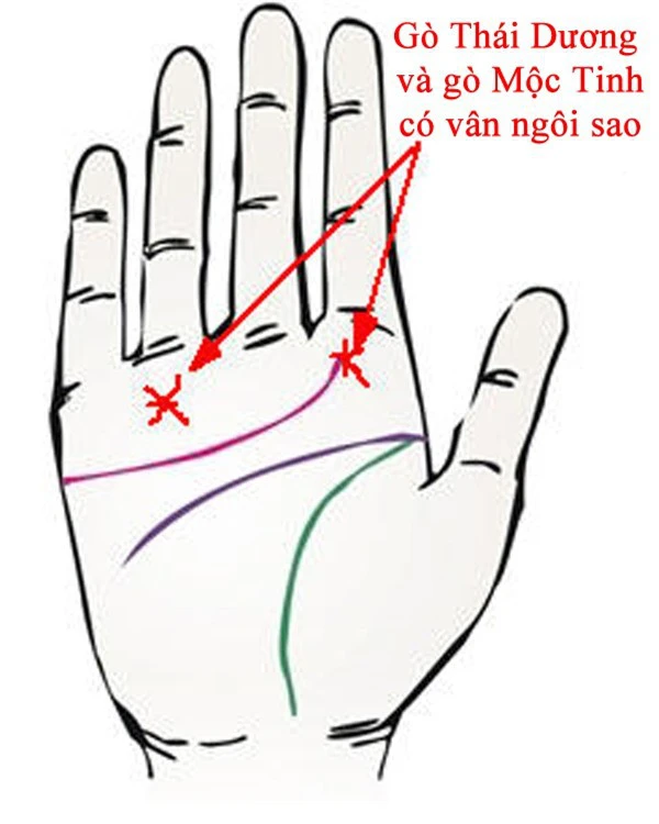 Bàn tay mà có 12 dấu hiệu này, bạn sẽ phú quý giàu sang cả đời, đặc biệt số 10 rất hiếm gặp - Ảnh 3.