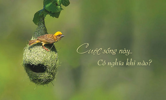 4 quân át chủ bài cực quan trọng trong cuộc sống, thiếu 1 thứ bạn cũng khó thành công và hạnh phúc - Ảnh 4. 4 quân át chủ bài cực quan trọng trong cuộc sống, thiếu 1 thứ bạn cũng khó thành công và hạnh phúc - Ảnh 4.