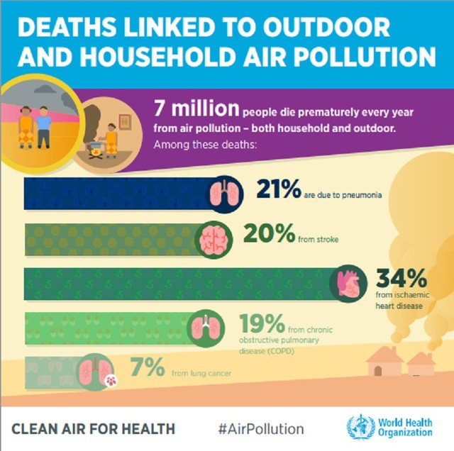 Mỗi năm, 7 triệu người chết vì ô nhiễm không khí - Ảnh 1.