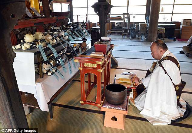 Ngôi chùa kì lạ tại Nhật Bản nơi người ta gửi gắm hàng trăm chú chó... robot bị hỏng - Ảnh 1.