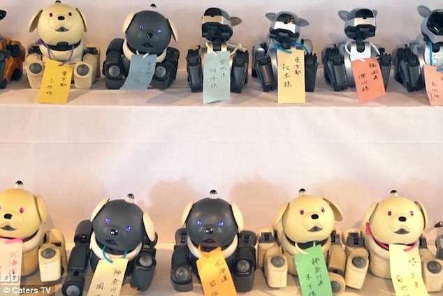 Ngôi chùa kì lạ tại Nhật Bản nơi người ta gửi gắm hàng trăm chú chó... robot bị hỏng - Ảnh 2.