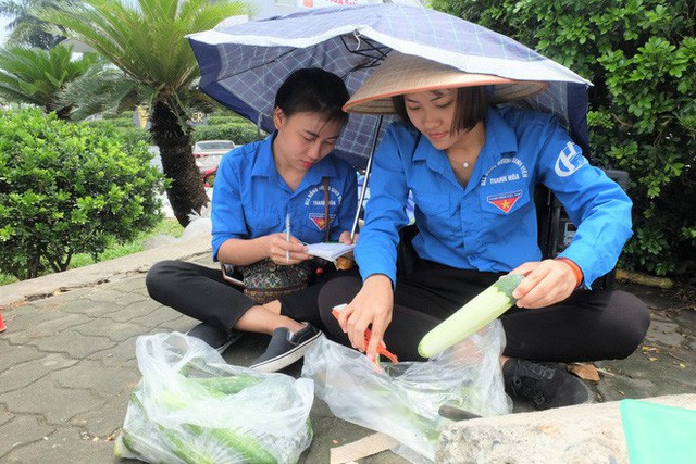 Hàng trăm kg dưa chuột đổ mồ hôi trong nắng nóng Hà Nội chờ được giải cứu - Ảnh 7.