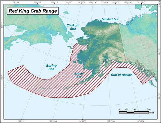 Bắt cua hoàng đế Alaska nguy hiểm chết người nhưng còn 1 việc đáng sợ không kém: quay phim... nghề đánh bắt đó! - Ảnh 4.