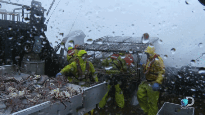 Bắt cua hoàng đế Alaska nguy hiểm chết người nhưng còn 1 việc đáng sợ không kém: quay phim... nghề đánh bắt đó! - Ảnh 7. Bắt cua hoàng đế Alaska nguy hiểm chết người nhưng còn 1 việc đáng sợ không kém: quay phim... nghề đánh bắt đó! - Ảnh 7.