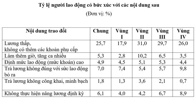  ¼ số người lao động bức xúc vì lương thấp, không có thêm các khoản phụ cấp - Ảnh 3.