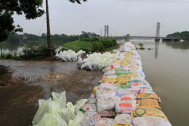  Cận cảnh mức chênh nước đê tả Bùi đe dọa nghìn hộ dân ở Hà Nội  - Ảnh 2.