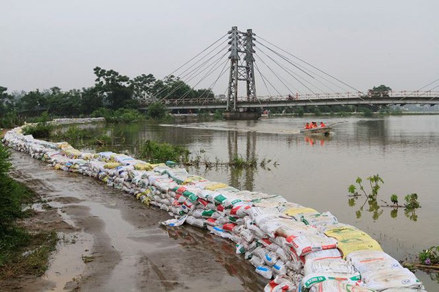  Cận cảnh mức chênh nước đê tả Bùi đe dọa nghìn hộ dân ở Hà Nội  - Ảnh 3.