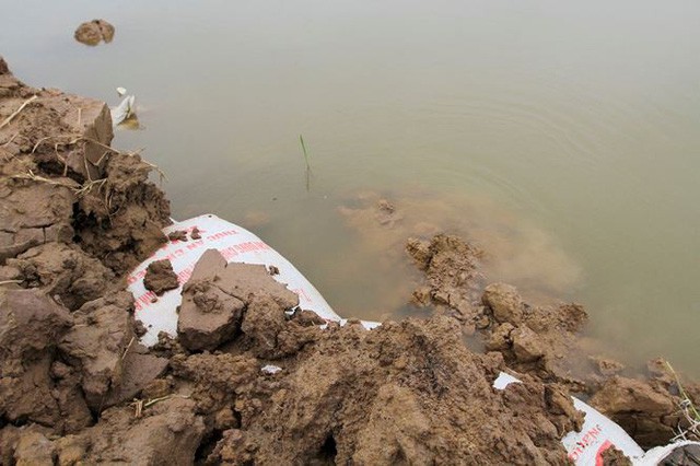  Cận cảnh mức chênh nước đê tả Bùi đe dọa nghìn hộ dân ở Hà Nội  - Ảnh 7.