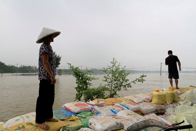  Cận cảnh mức chênh nước đê tả Bùi đe dọa nghìn hộ dân ở Hà Nội  - Ảnh 8.