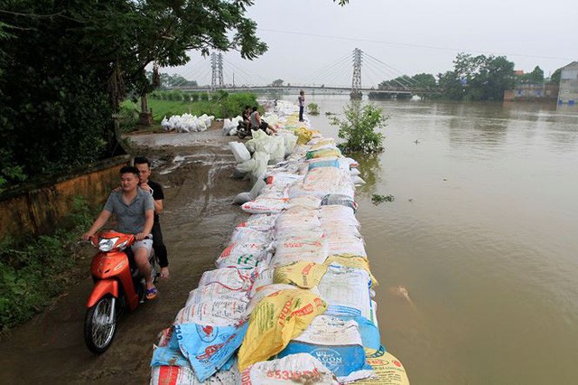  Cận cảnh mức chênh nước đê tả Bùi đe dọa nghìn hộ dân ở Hà Nội  - Ảnh 9.