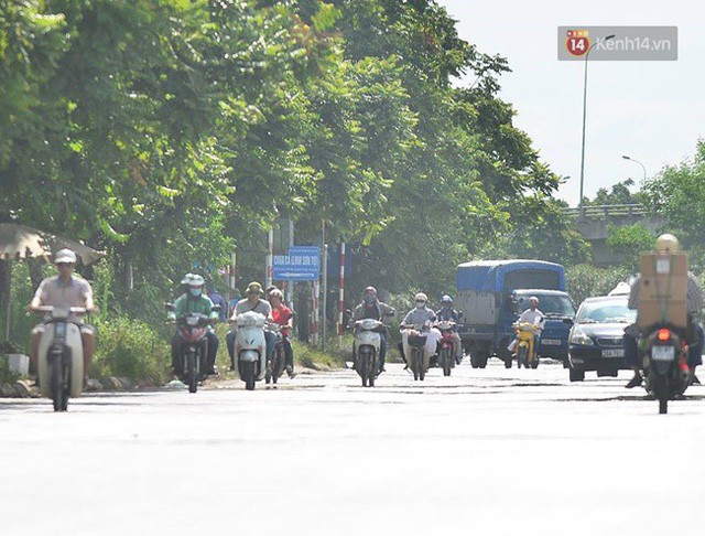 Hà Nội: Mặt đường bốc hơi dưới cái nắng nóng 40 độ, công nhân công ty cây xanh phải che lá chống nắng - Ảnh 3.