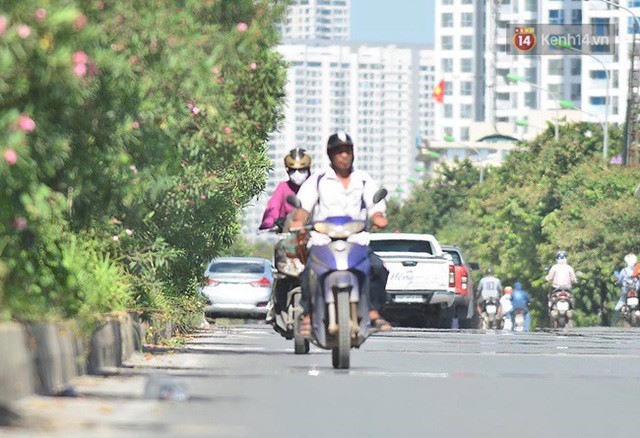 Hà Nội: Mặt đường bốc hơi dưới cái nắng nóng 40 độ, công nhân công ty cây xanh phải che lá chống nắng - Ảnh 5.