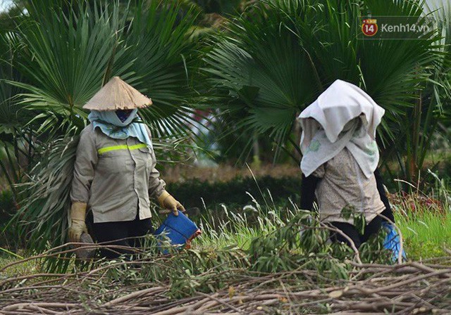 Hà Nội: Mặt đường bốc hơi dưới cái nắng nóng 40 độ, công nhân công ty cây xanh phải che lá chống nắng - Ảnh 6.